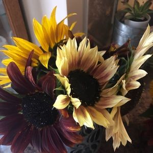 Meet your Posher, Jody